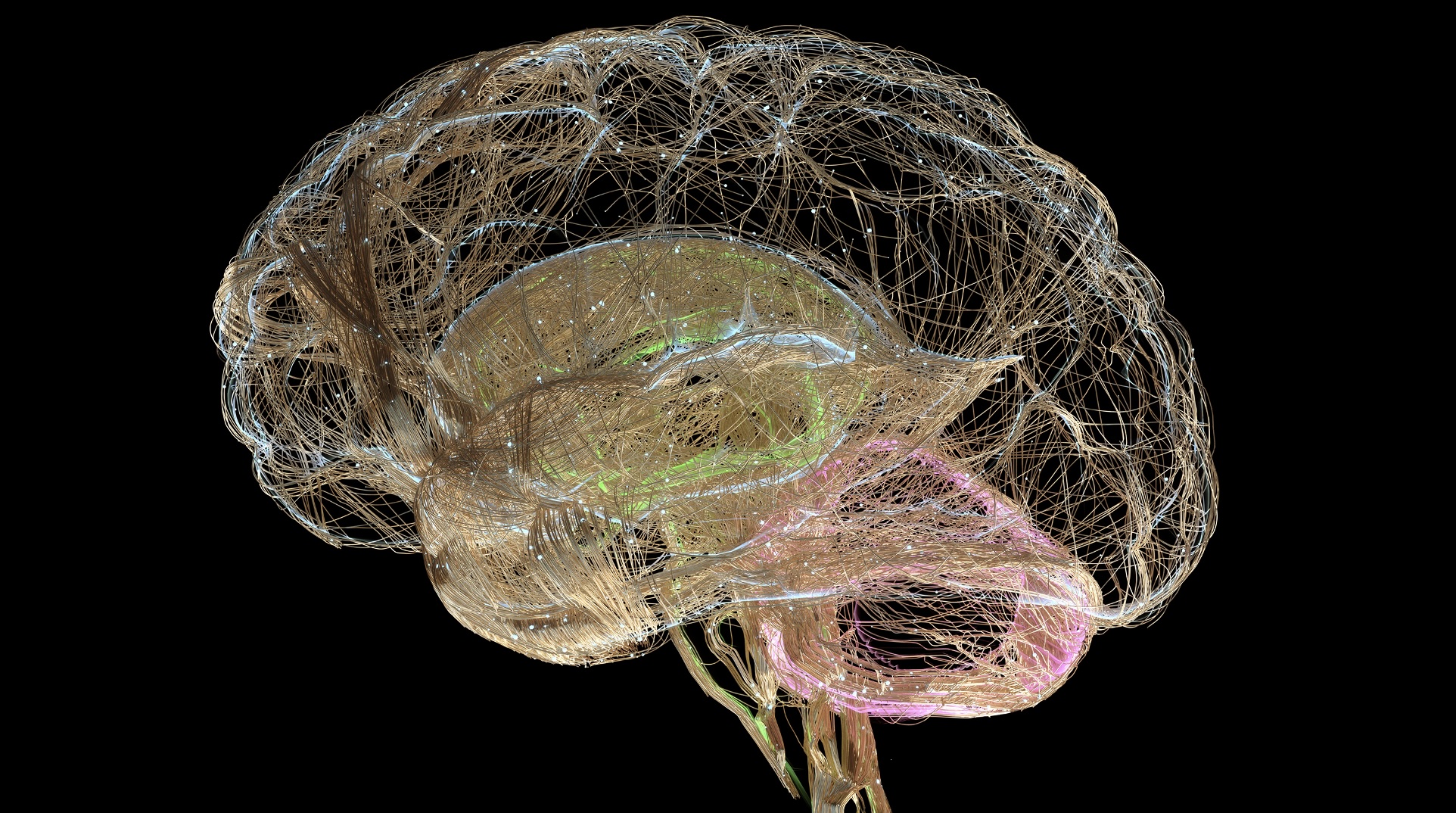 Intero vs Exteroception Lesson & Breathwork Practice (32 min) 