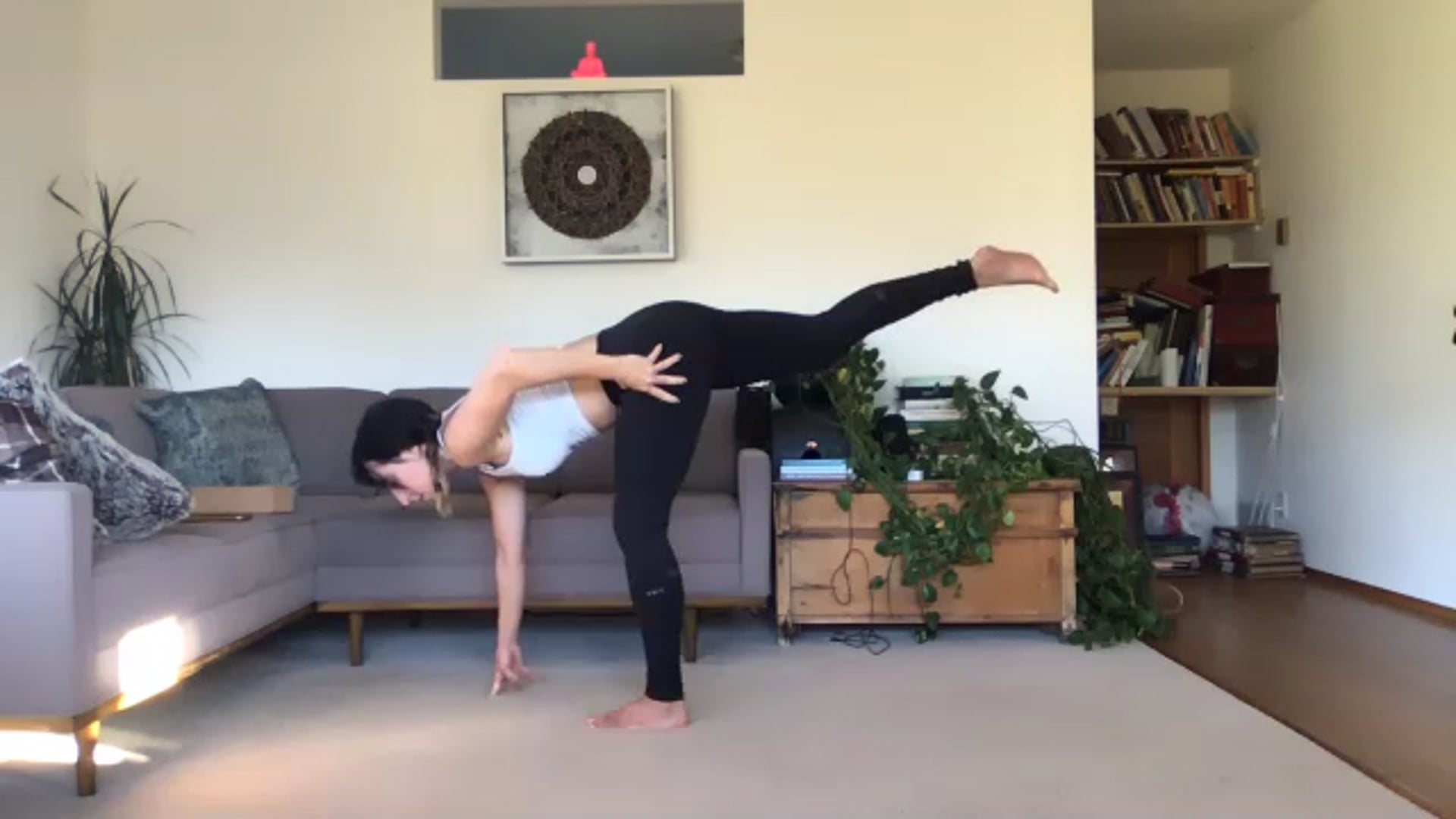 Part Two Oct 7 - Intermediate Twists & Arm Balances