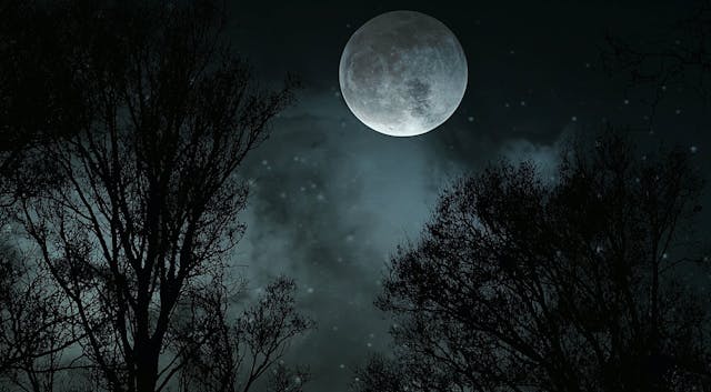 Oct 31: Advanced Breath Journey - Aud...