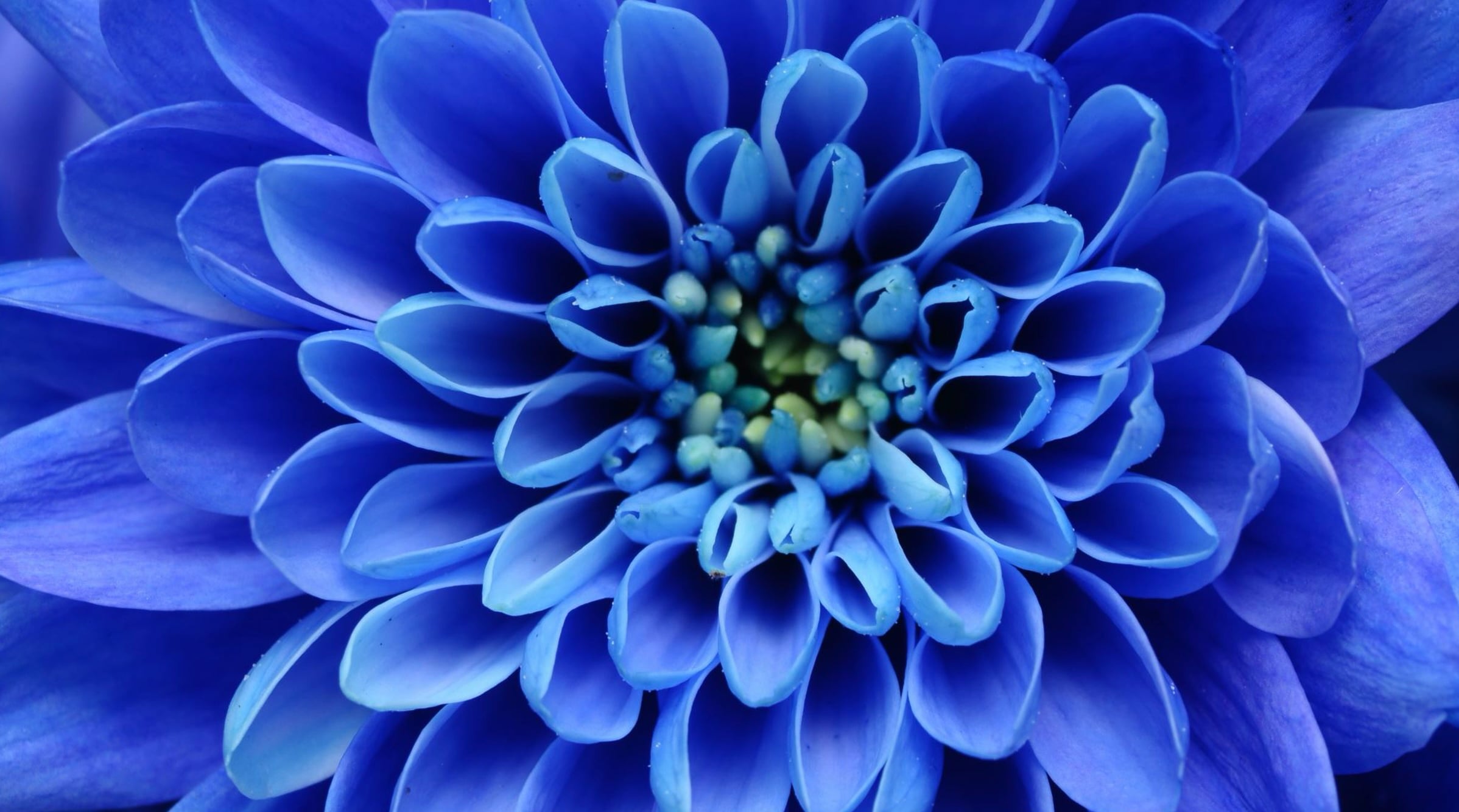 Apr 16: Spring Breath & Abundance Practice (33 min)