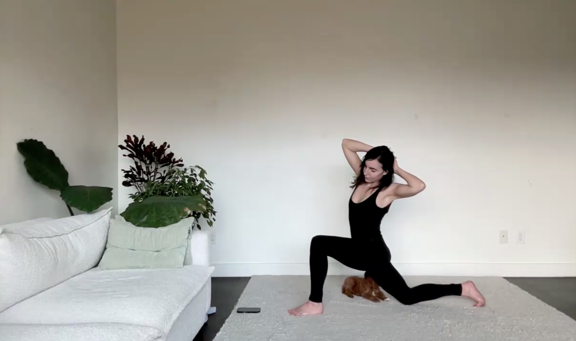 March 5: Chill Flow for Hips with Puppy Torture  (34 min) 