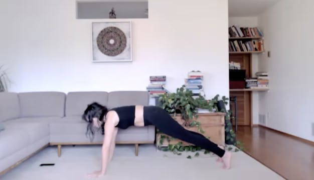 Vinyasa Flow + Circulation Focus (50 ...