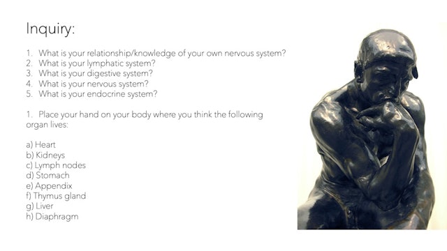 Pg 1 The Nervous System