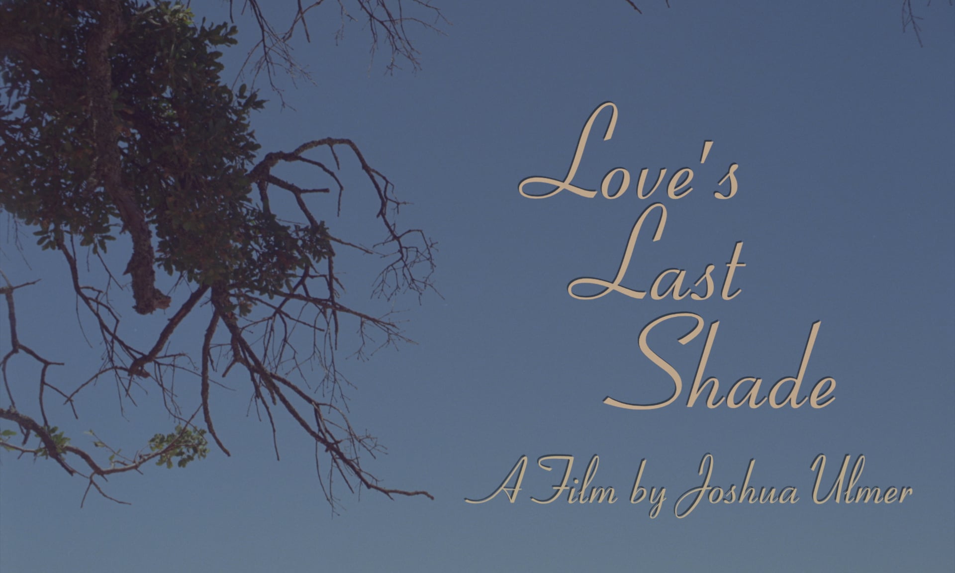 Love's Last Shade