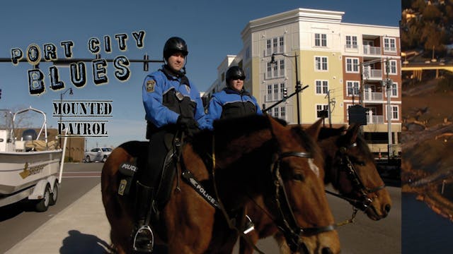Mounted Patrol Trailer