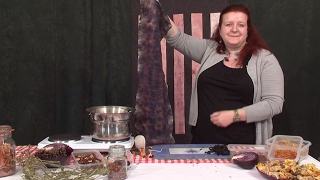 Steaming Tulip Petals with Angela Daymond