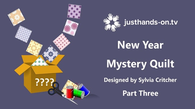 Mystery Quilt with Sylvia Critcher - Part 3