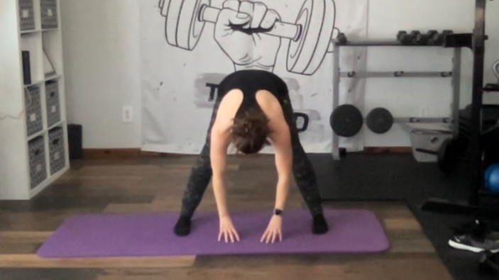 FUNctional Fitness for the Aging Body