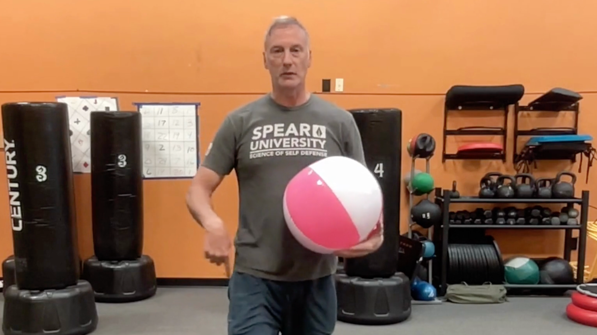 Balance 100 - Beach Ball Disclaimer