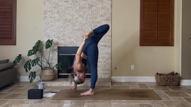 Twists, Backbends, + Balance