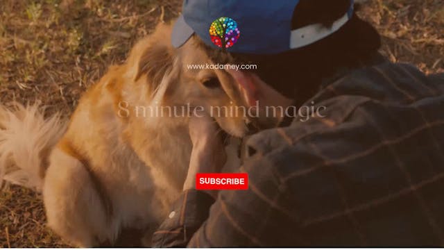 mind magic All You Need is Love