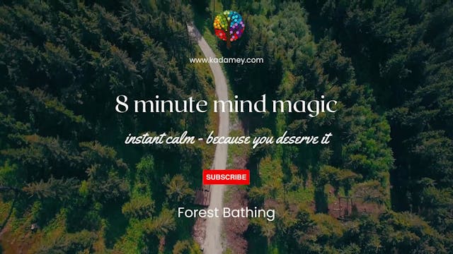 mind magic Forest Bathing