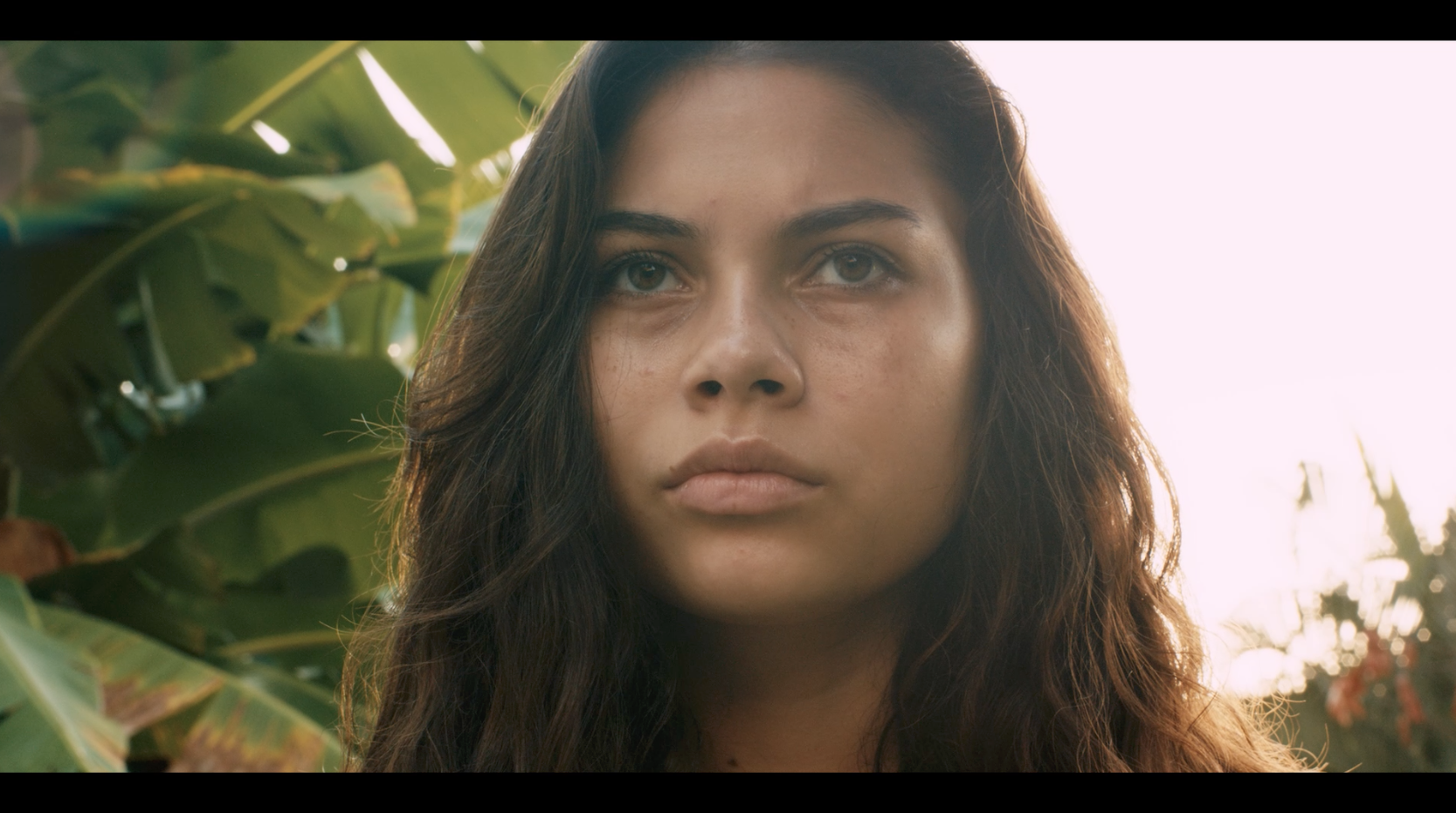 The Moon and the Night