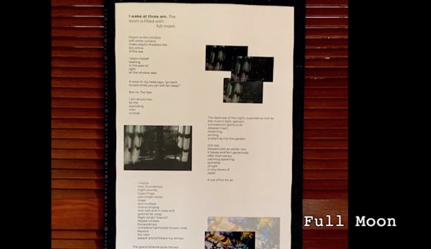 Curious by Valerie Kim