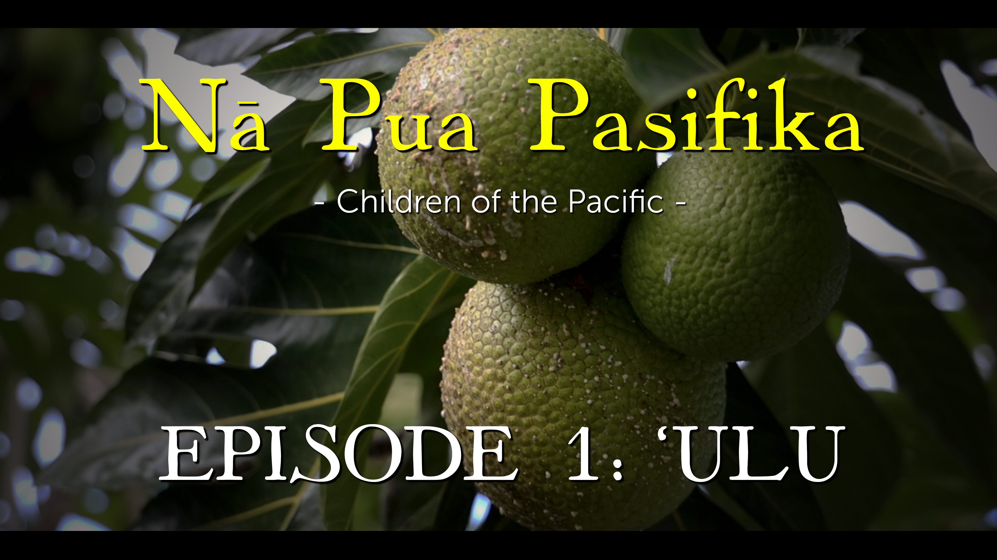 Nā Pua Pasifika - Episode 1 Ulu