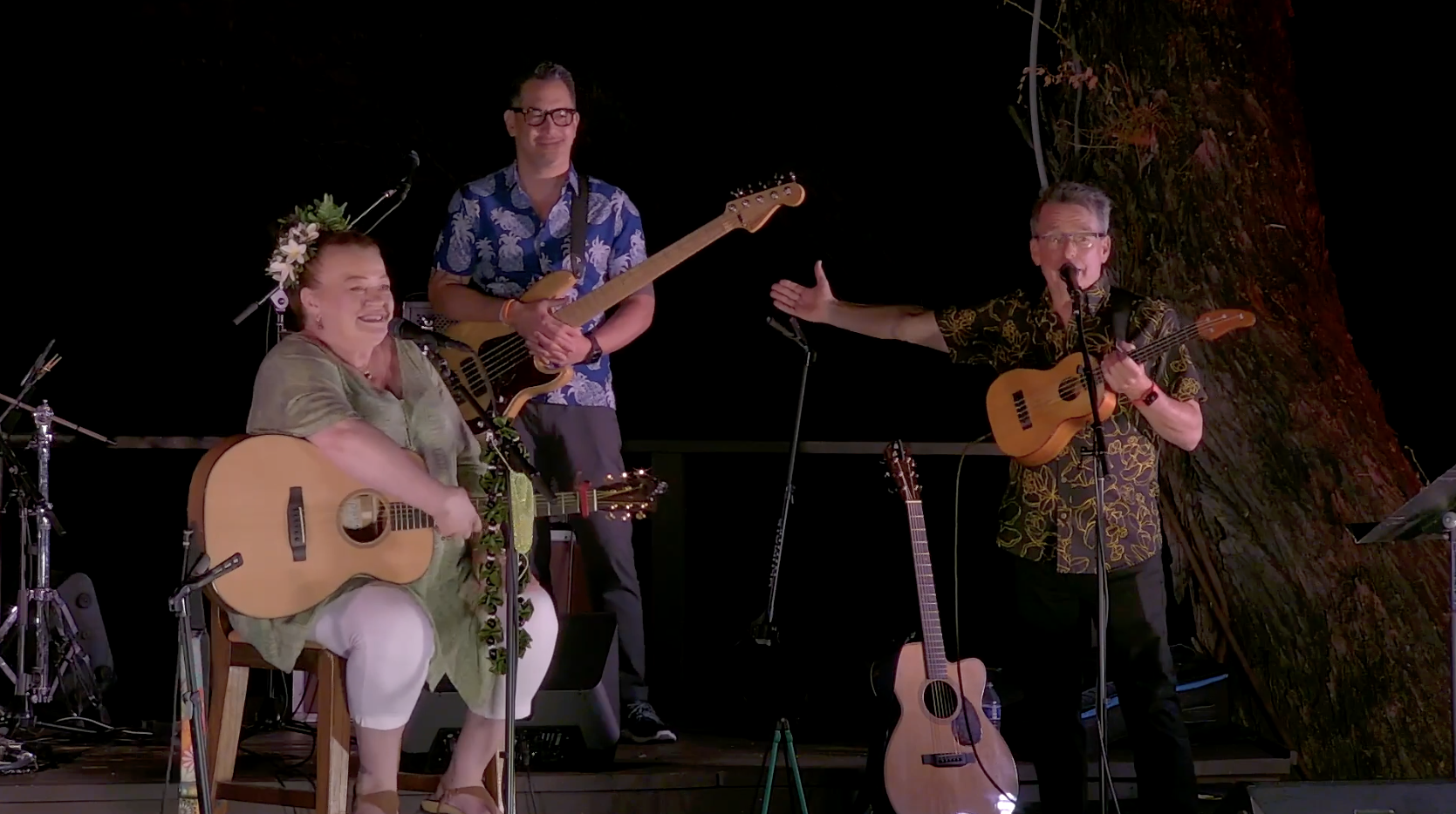 Hawaiian Style Band — Let's Talk Story