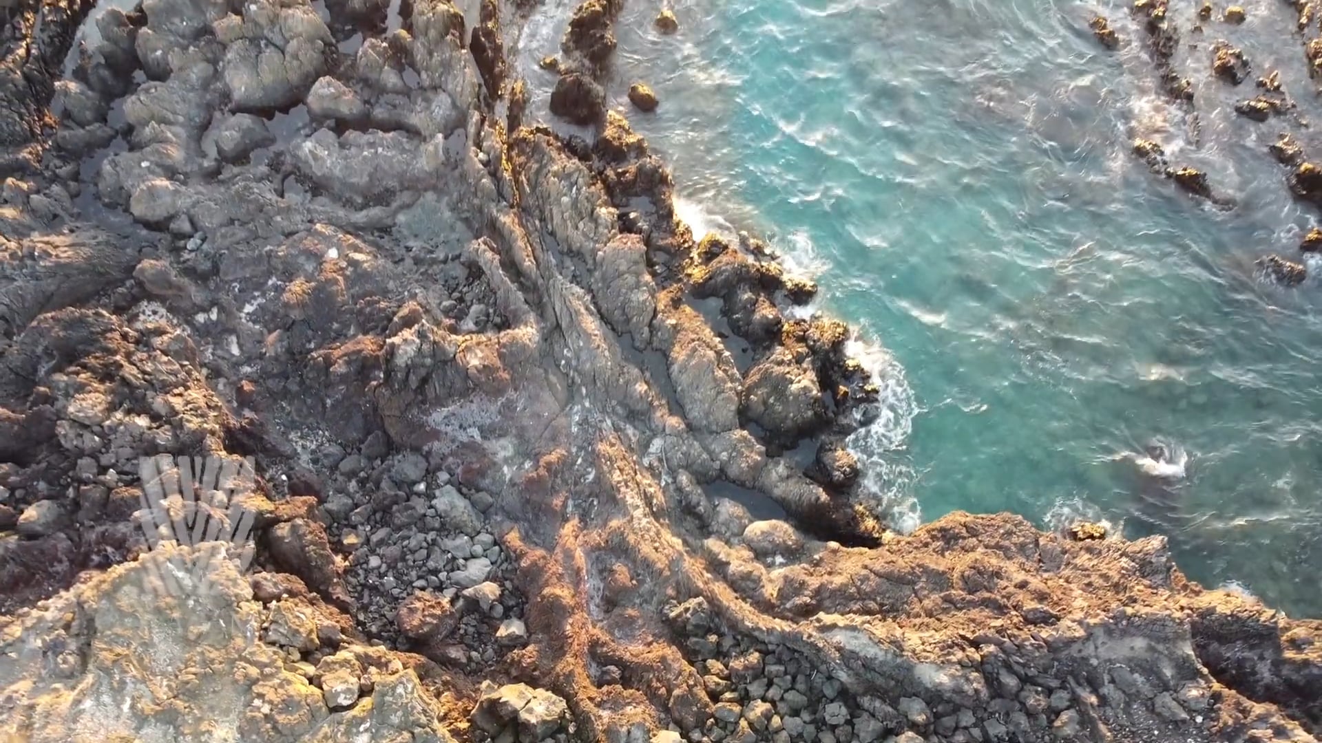 Kona Latte performed by Kohala