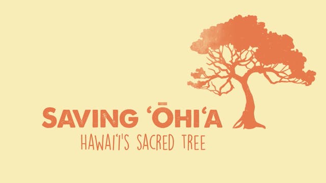Saving ʻŌhiʻa - Hawaii's Sacred Tree 