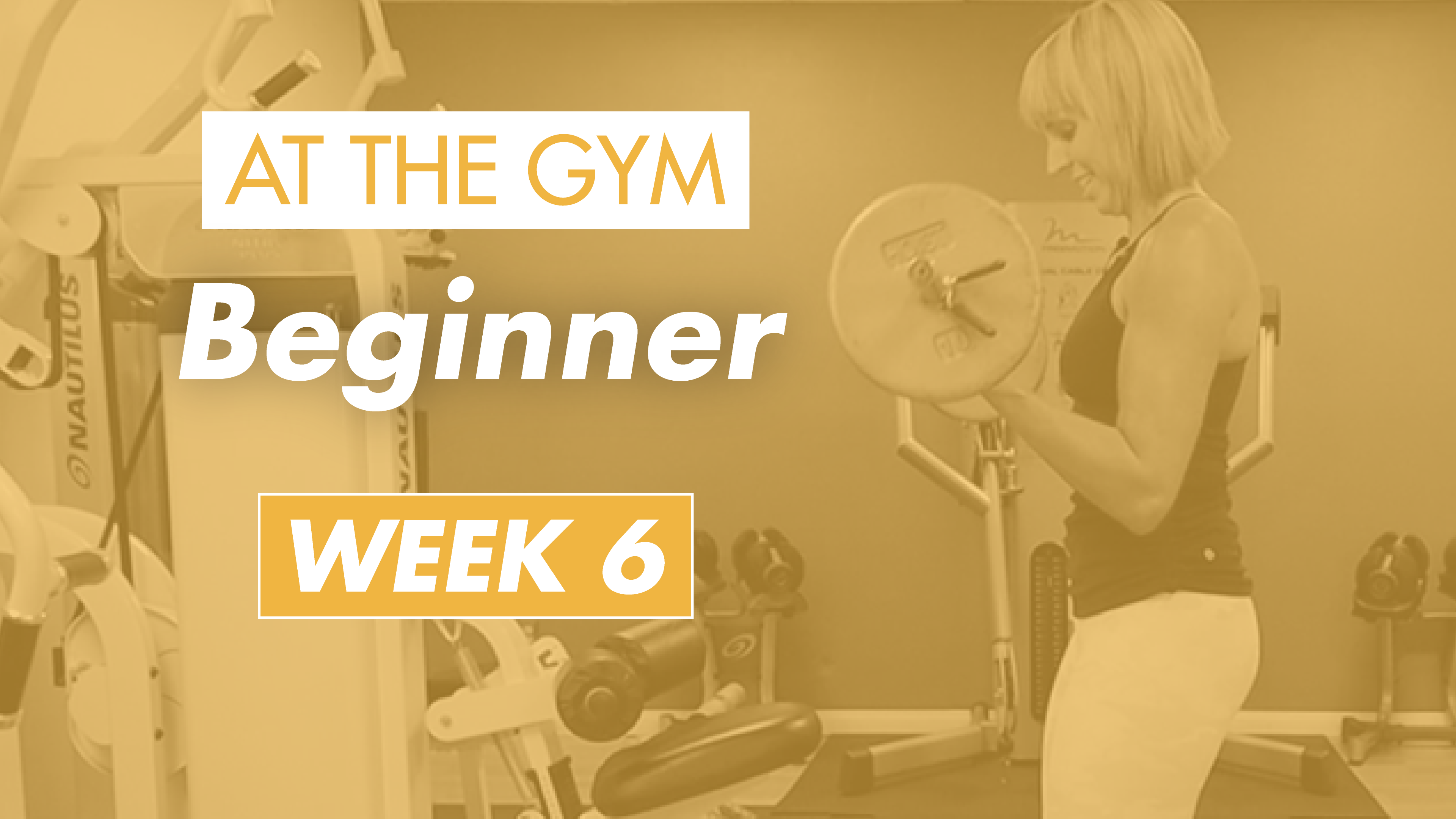 Beginner - Week 6 (Gym)