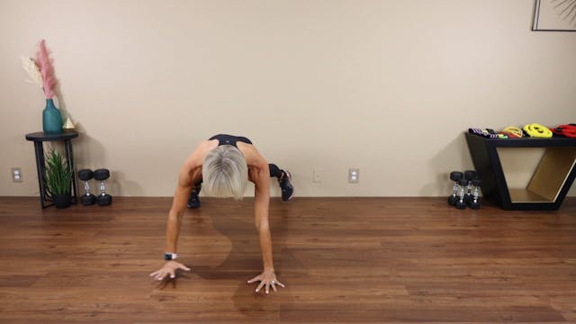 Plank Lateral Walks - Demo