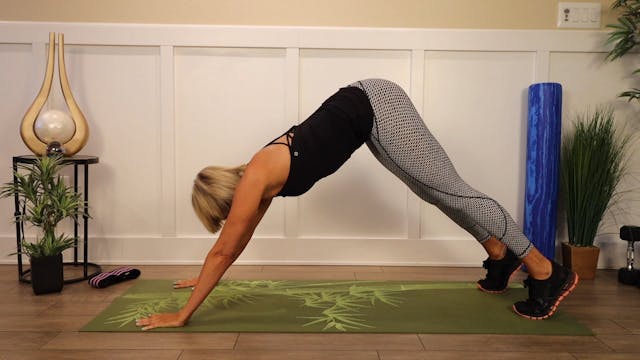 Plank to Pike Toe Touches