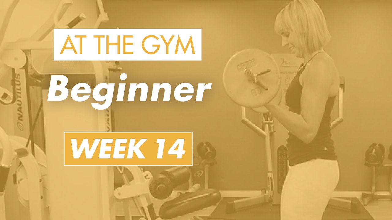 Beginner - Week 14 (Gym)