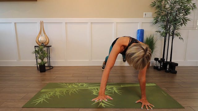 Plank Lateral Walks