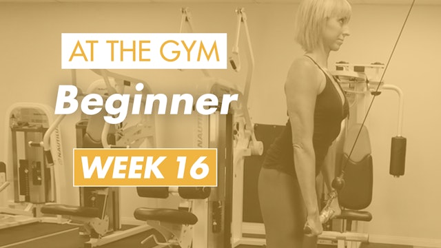 Beginner - Week 16 (Gym)