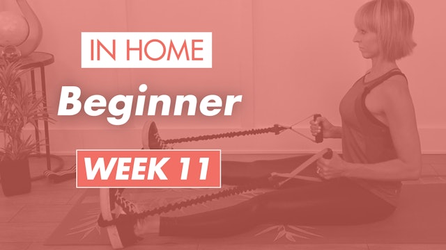 Beginner - Week 11 (Home)