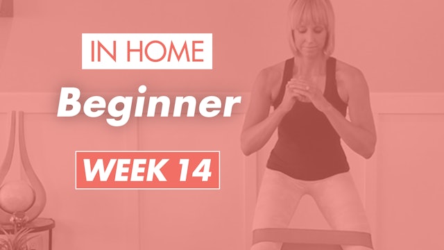 Beginner - Week 14 (Home)