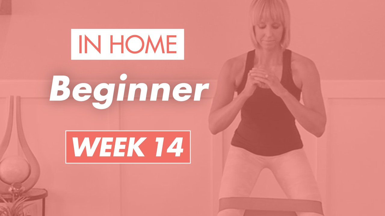 Beginner - Week 14 (Home)