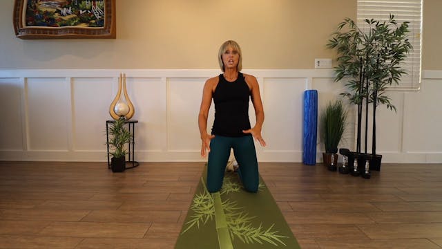 Plank Shoulder Touches