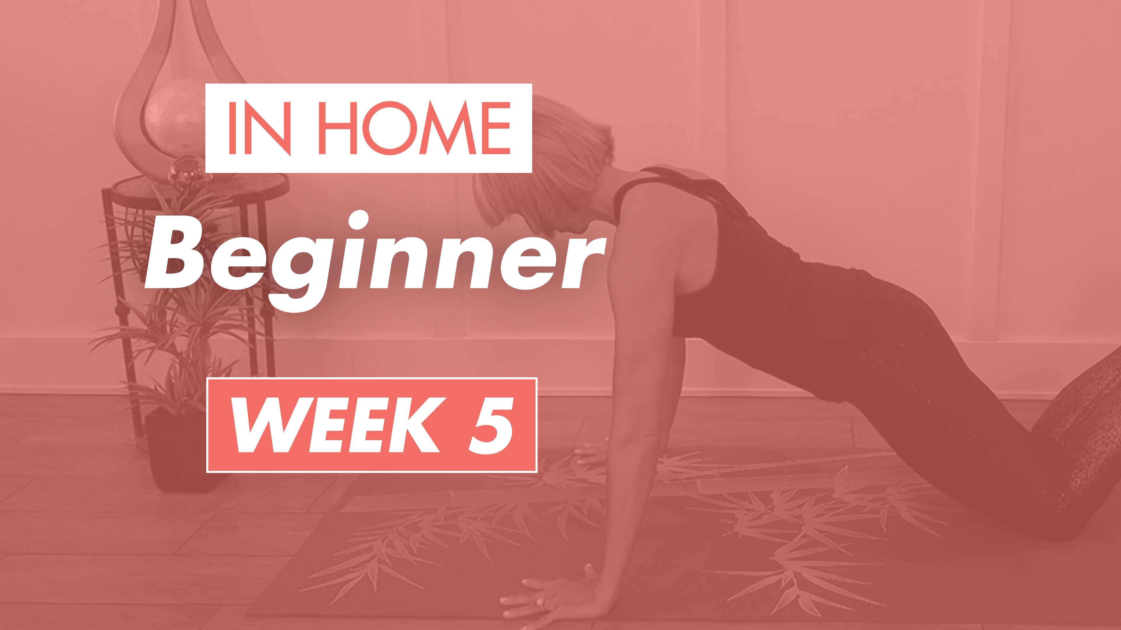 Beginner - Week 5 (Home)