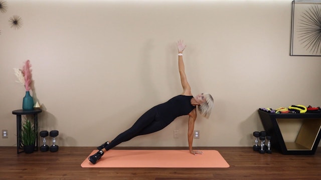 Plank to Side Plank - Demo