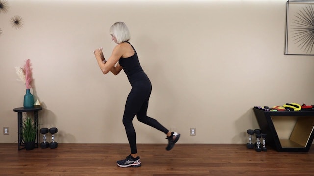 Squat with Back Lunge - Demo