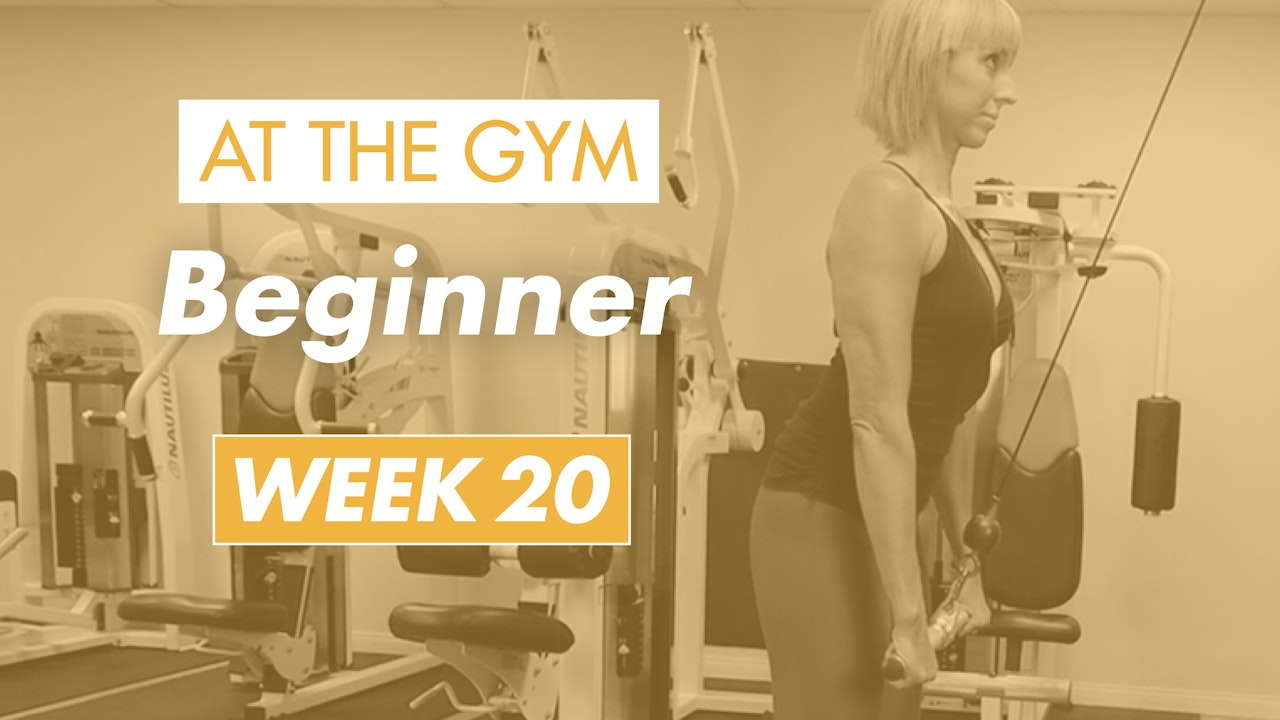 Beginner - Week 20 (Gym)