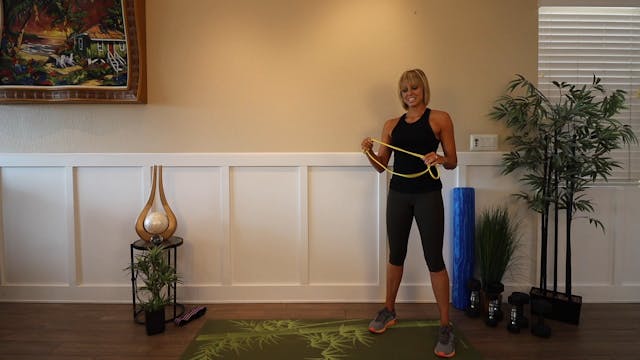 Forward Lean Overhead Tricep Extensio...