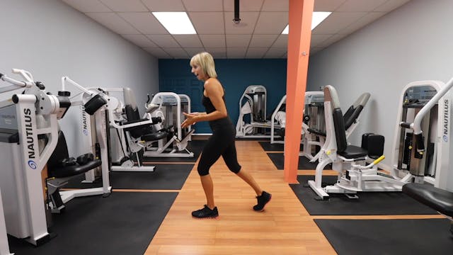 Alternating Lunge Step Backs Gym