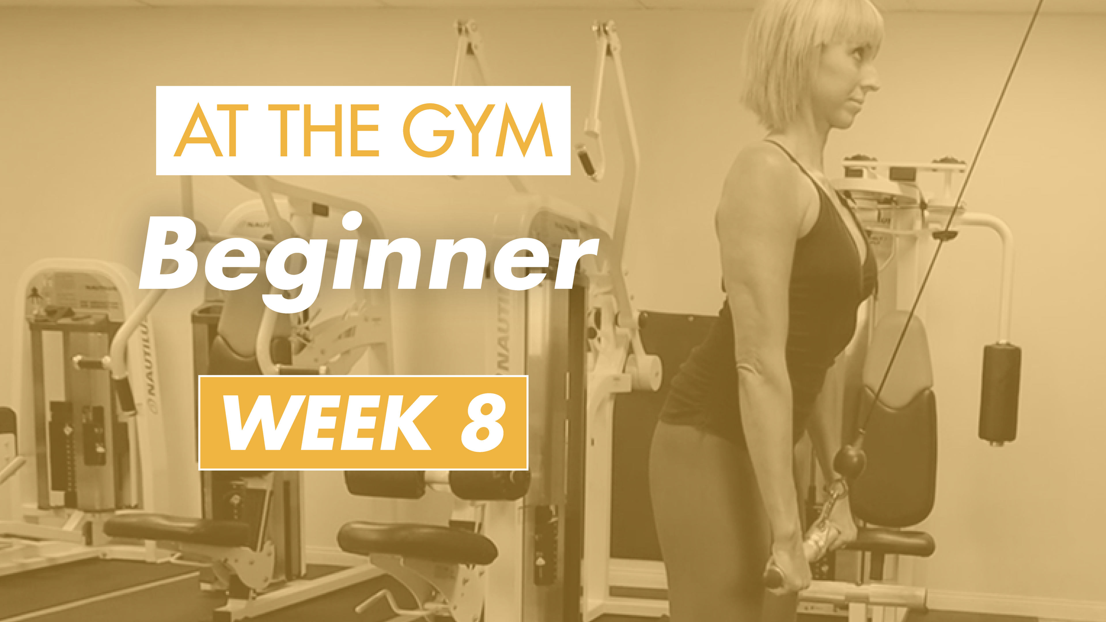 Beginner - Week 8 (Gym)