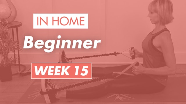 Beginner - Week 15 (Home)