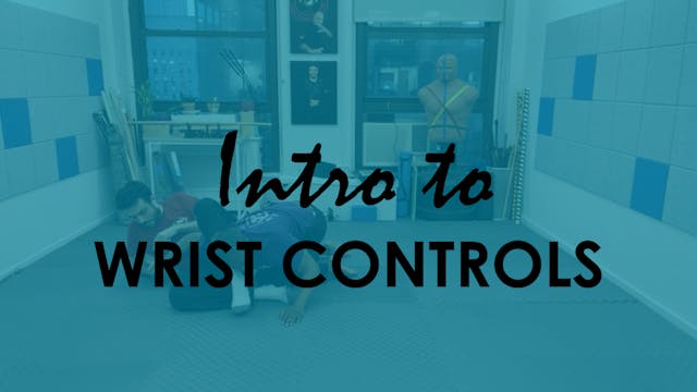 INTRO TO WRIST CONTROLS