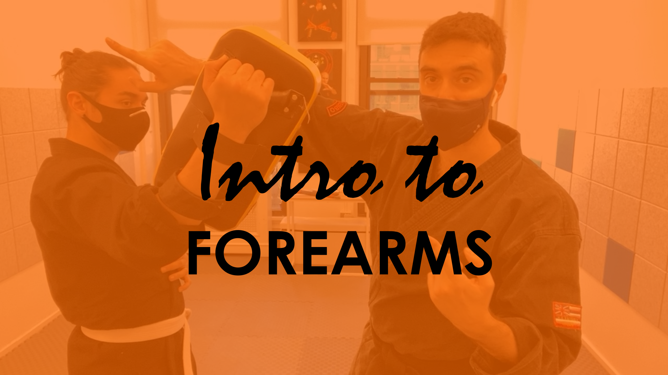 INTRO TO FOREARM STRIKES