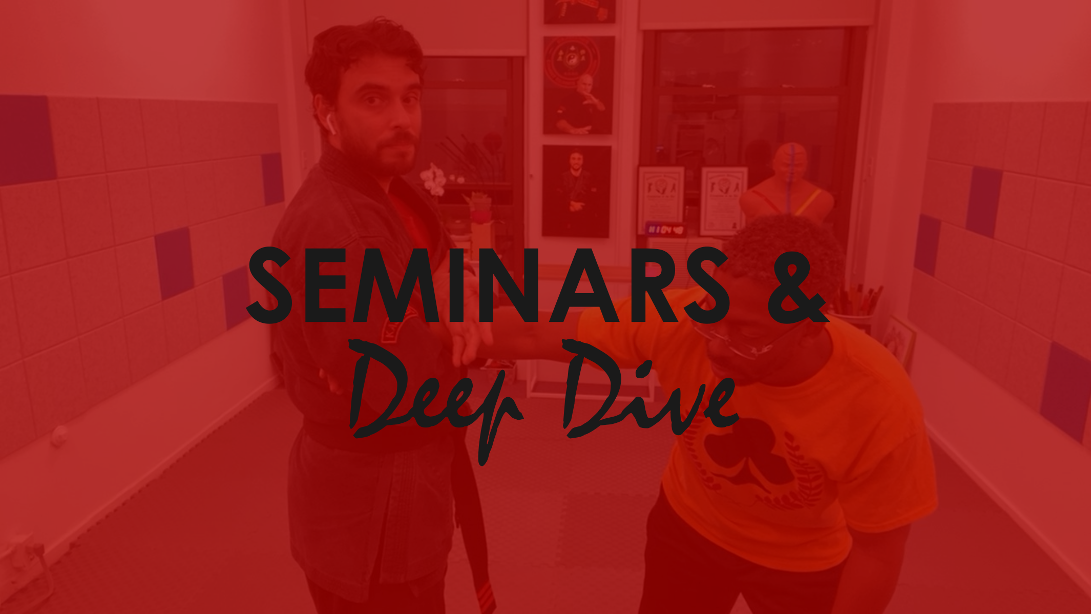 SEMINARS AND TECHNIQUES