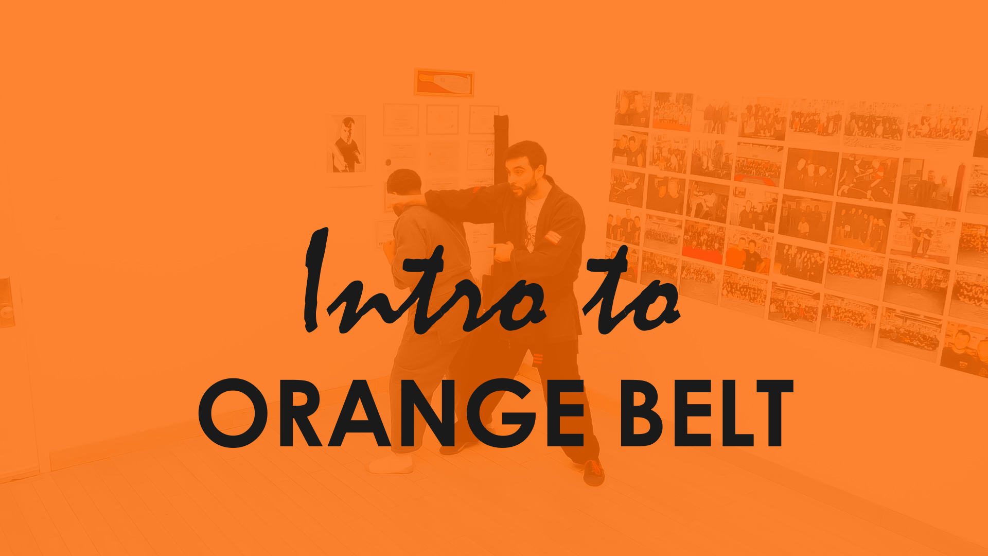 INTRO TO ORANGE  BELT