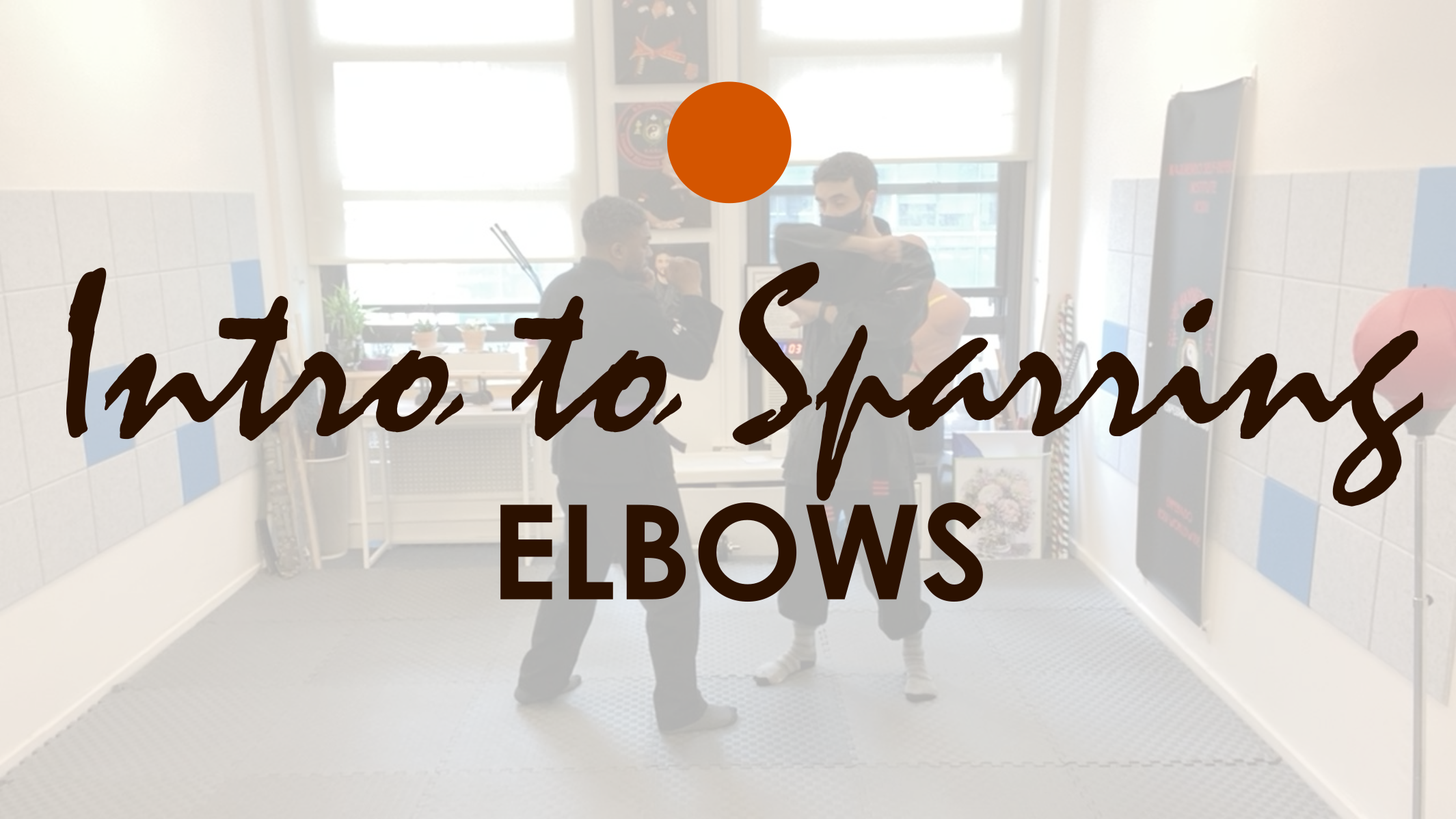 INTRO TO SPARRING. ELBOWS