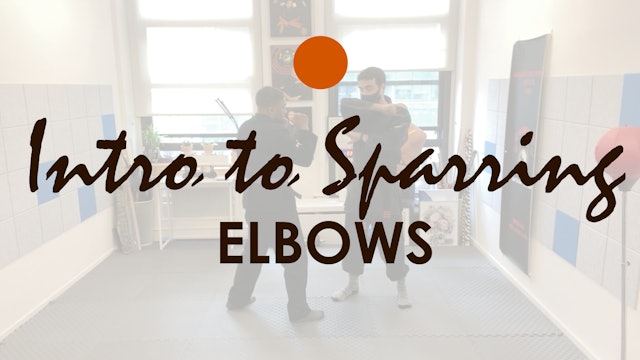 INTRO TO SPARRING. ELBOWS