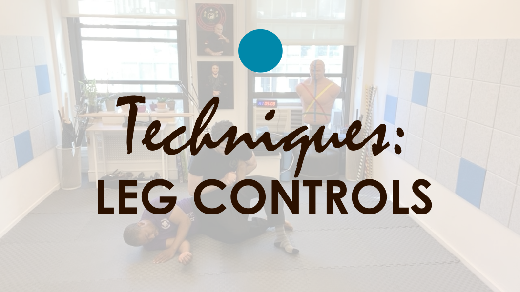 TECHNIQUES. LEG CONTROLS