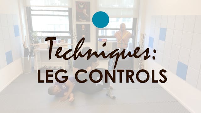 TECHNIQUES. LEG CONTROLS