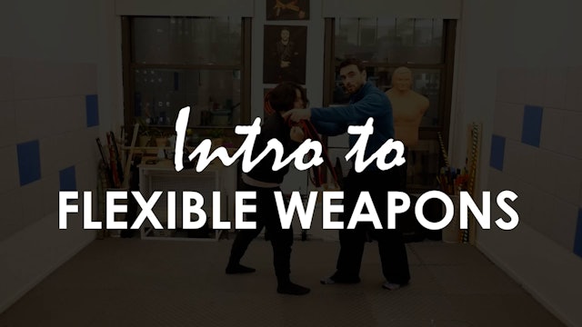 INTRO TO FLEXIBLE WEAPONS