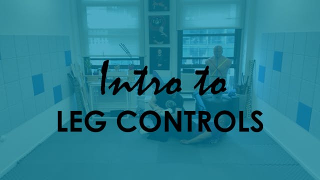 INTRO TO LEG CONTROLS